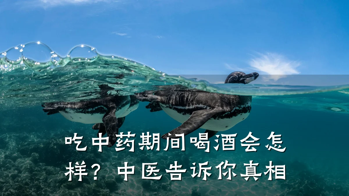 吃中药期间喝酒会怎样?中医告诉你真相