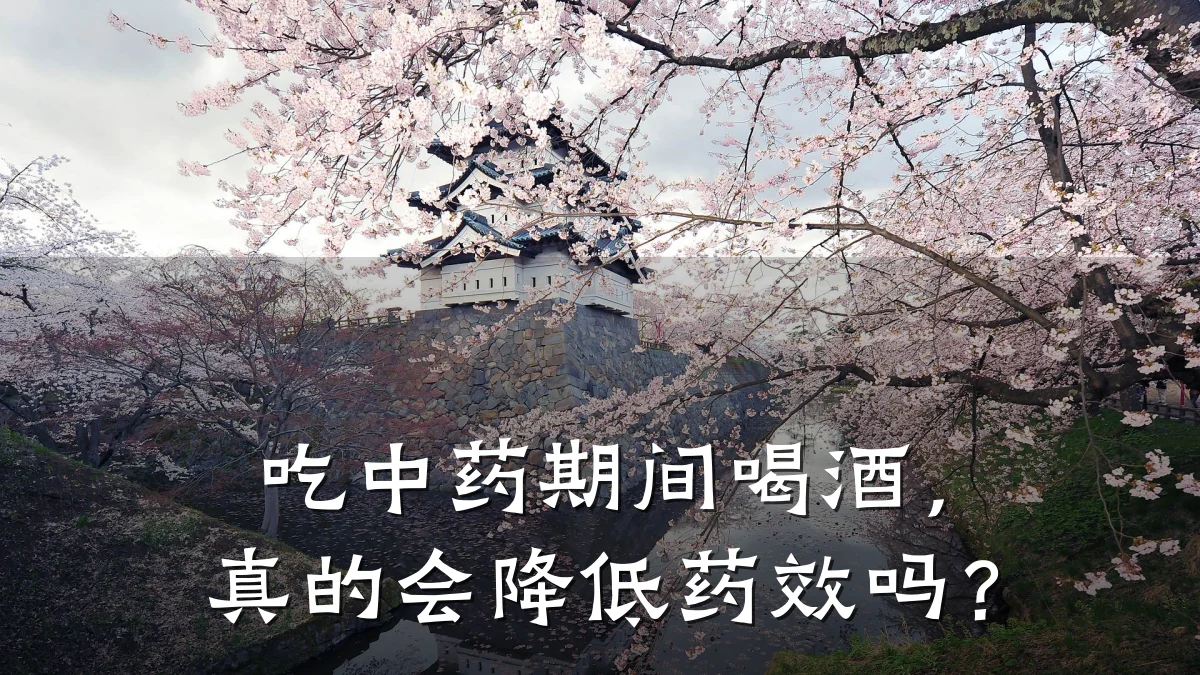 吃中药期间喝酒,真的会降低药效吗?