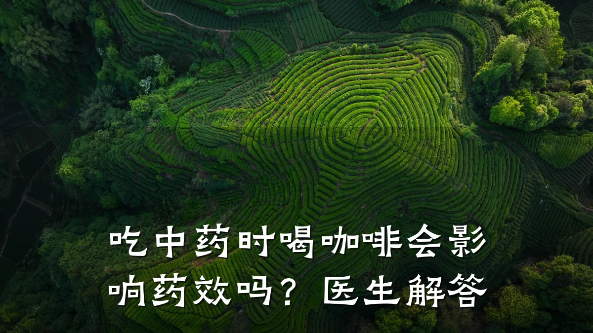 吃中药时喝咖啡会影响药效吗?医生解答