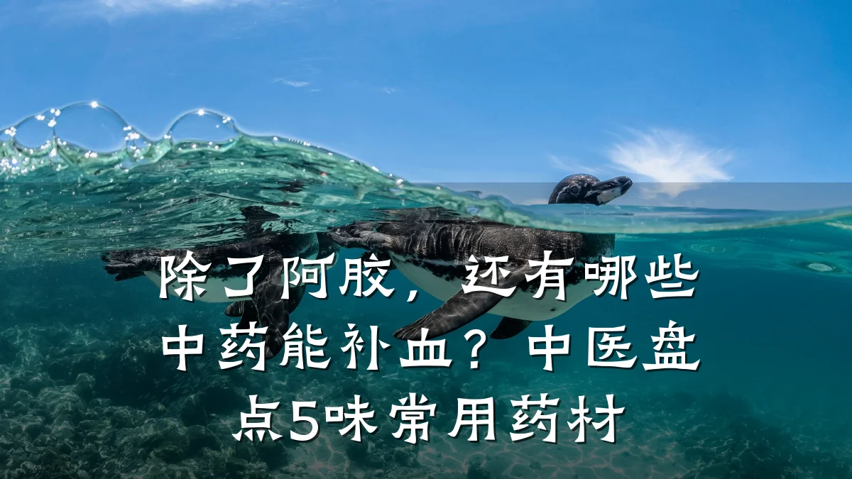 除了阿胶，还有哪些中药能补血？中医盘点5味常用药材