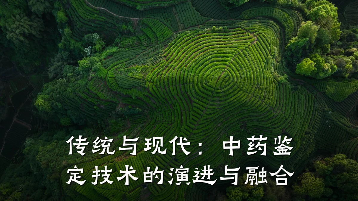 传统与现代：中药鉴定技术的演进与融合