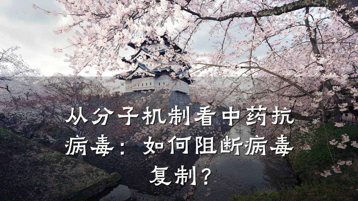 从分子机制看中药抗病毒:如何阻断病毒复制?
