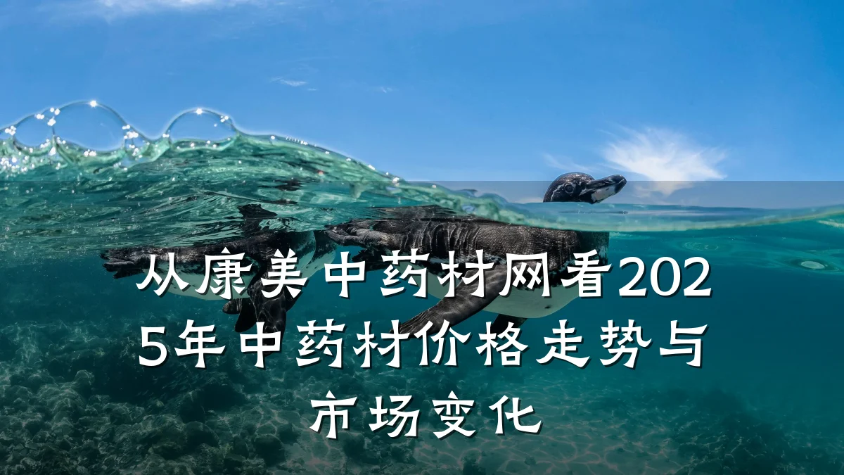 从康美中药材网看2025年中药材价格走势与市场变化