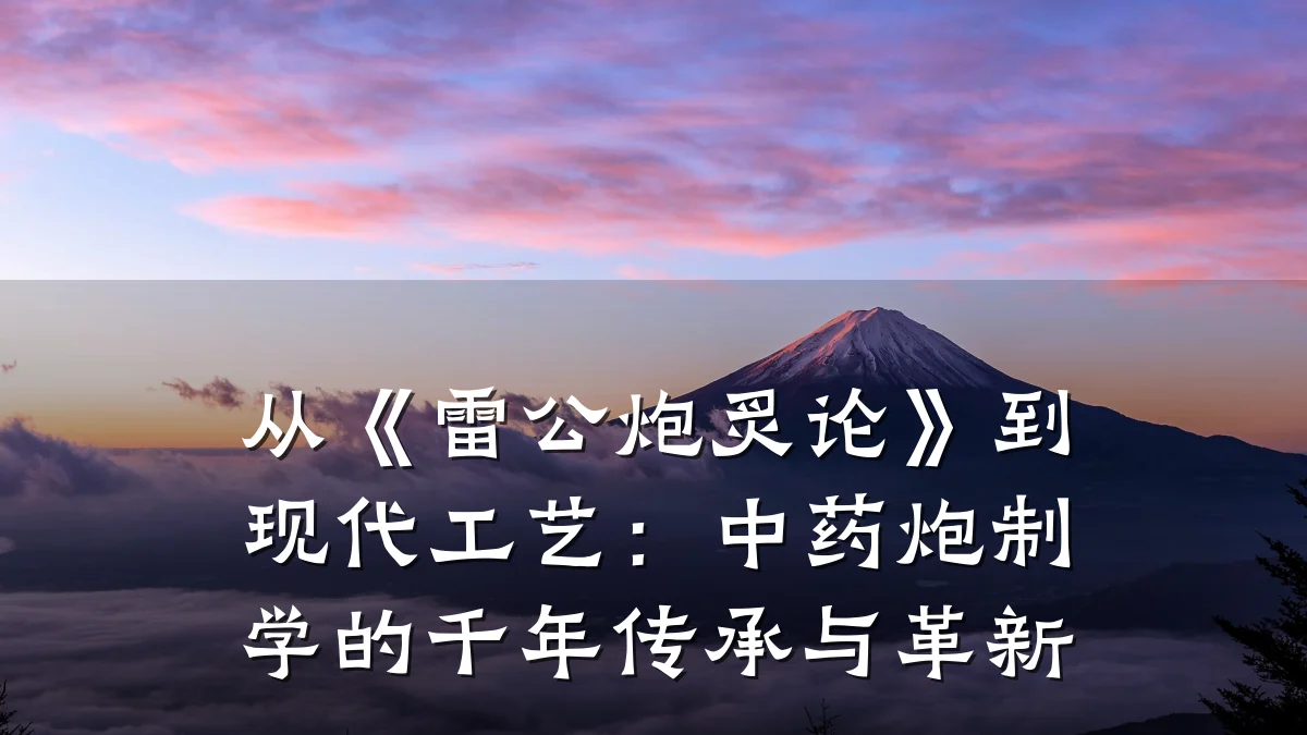 从《雷公炮炙论》到现代工艺:中药炮制学的千年传承与革新