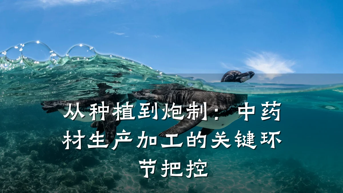 从种植到炮制:中药材生产加工的关键环节把控