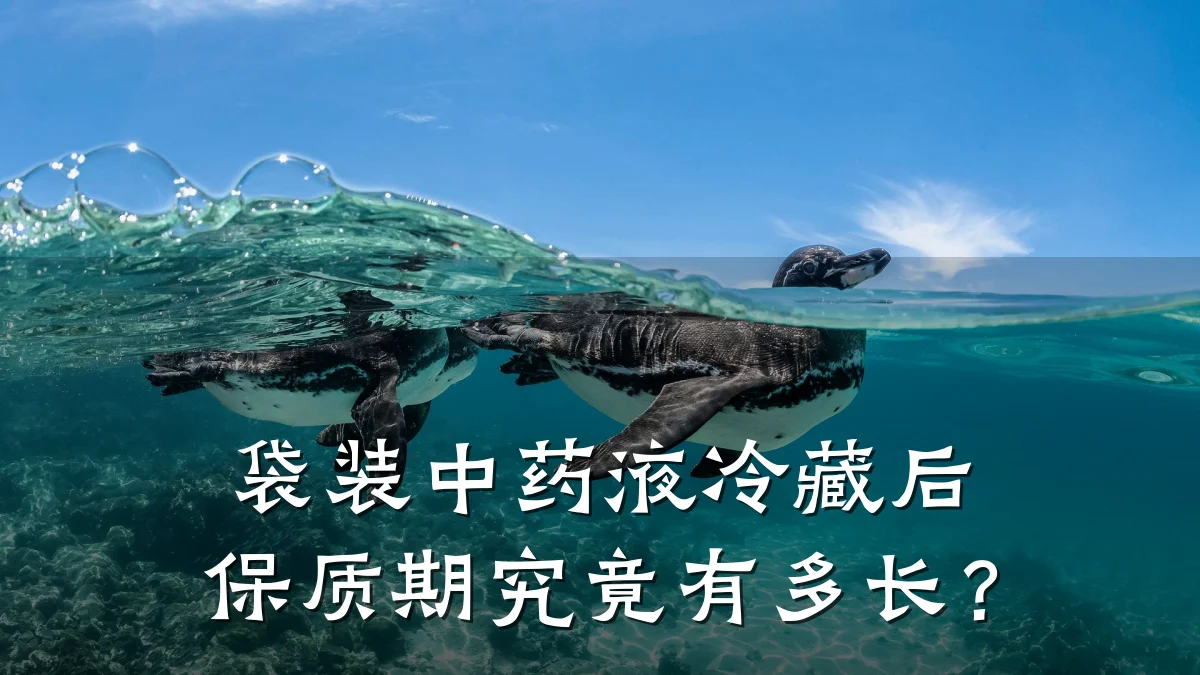 袋装中药液冷藏后保质期究竟有多长?