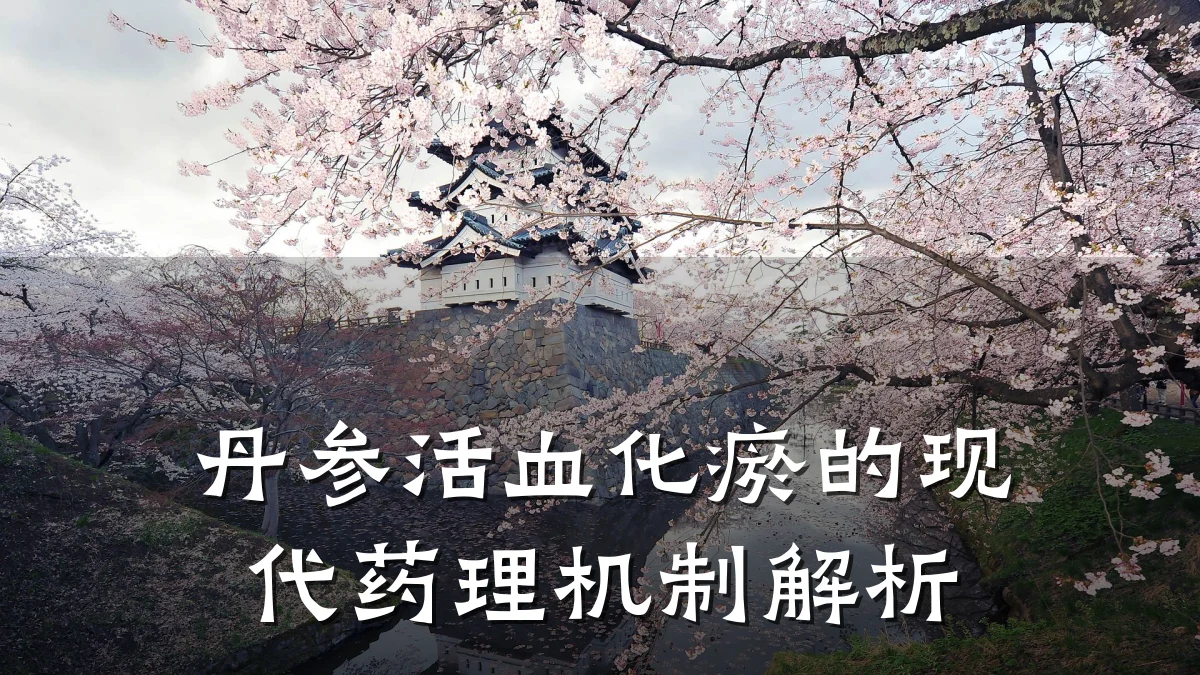 丹参活血化瘀的现代药理机制解析