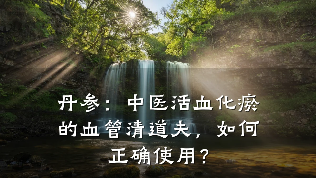 丹参:中医活血化瘀的血管清道夫,如何正确使用?