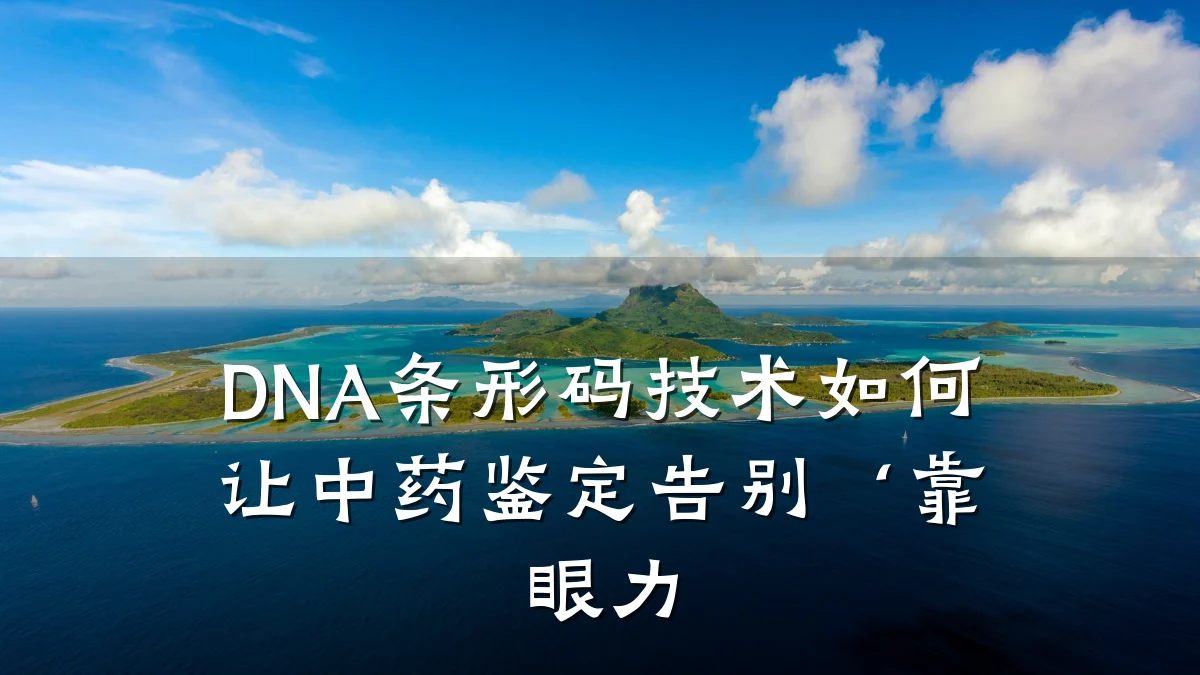 DNA条形码技术如何让中药鉴定告别‘靠眼力