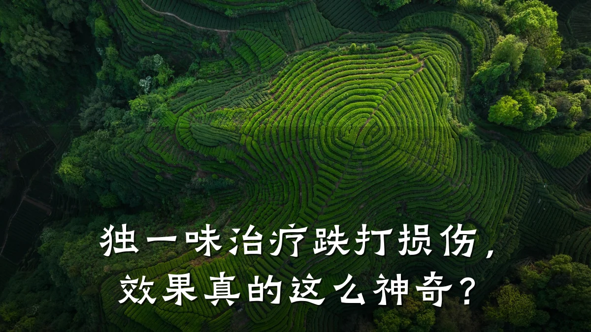 独一味治疗跌打损伤,效果真的这么神奇?