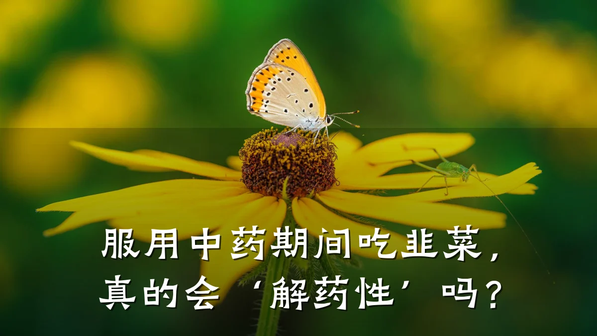 服用中药期间吃韭菜,真的会‘解药性’吗?
