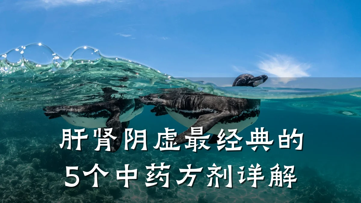 肝肾阴虚最经典的5个中药方剂详解