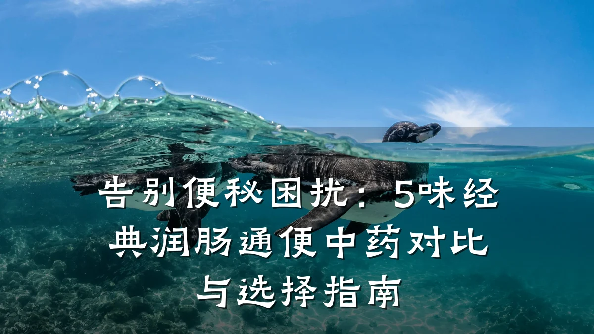 告别便秘困扰:5味经典润肠通便中药对比与选择指南