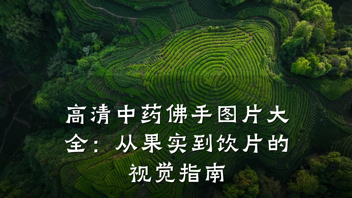 高清中药佛手图片大全:从果实到饮片的视觉指南