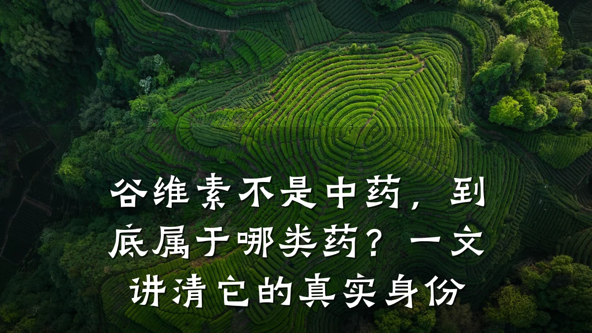 谷维素不是中药,到底属于哪类药?一文讲清它的真实身份