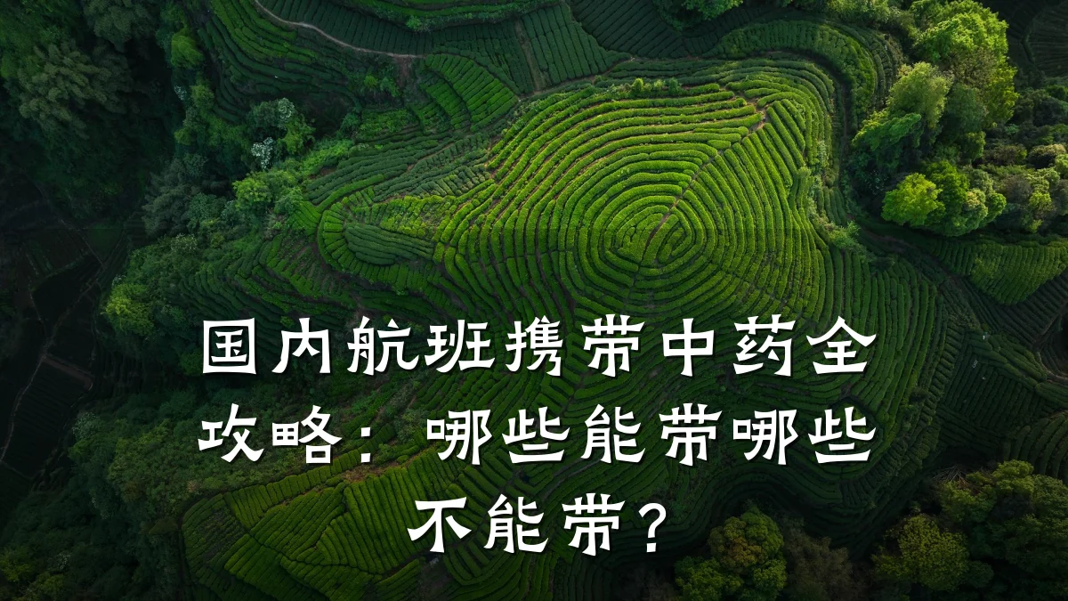 国内航班携带中药全攻略：哪些能带哪些不能带？