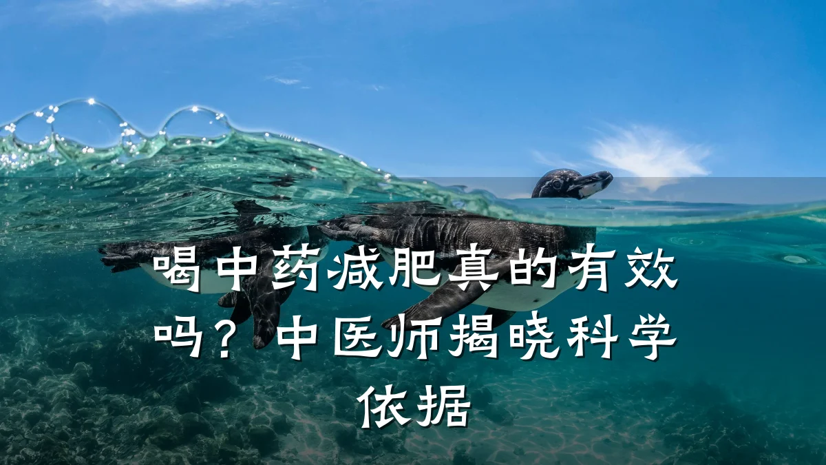 喝中药减肥真的有效吗？中医师揭晓科学依据