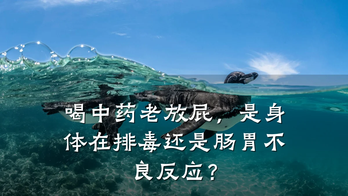 喝中药老放屁，是身体在排毒还是肠胃不良反应？