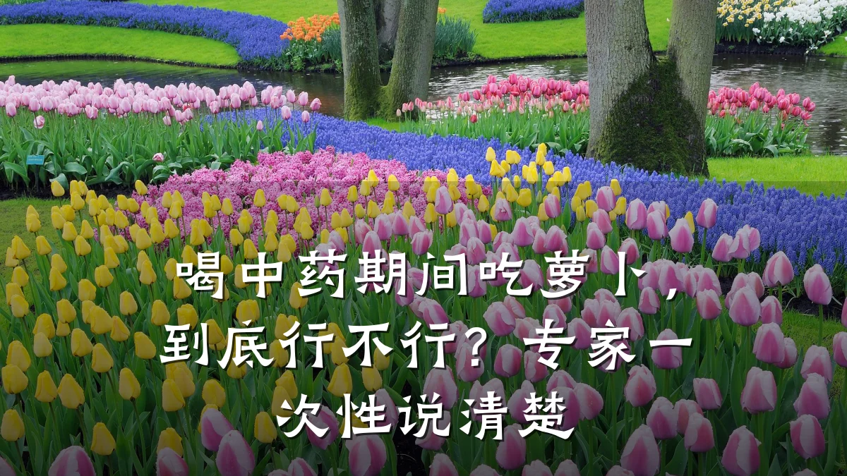 喝中药期间吃萝卜,到底行不行?专家一次性说清楚