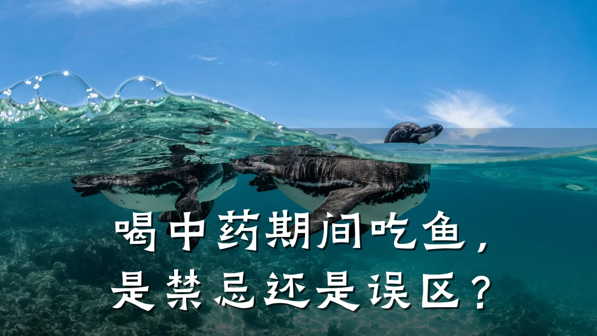 喝中药期间吃鱼,是禁忌还是误区?