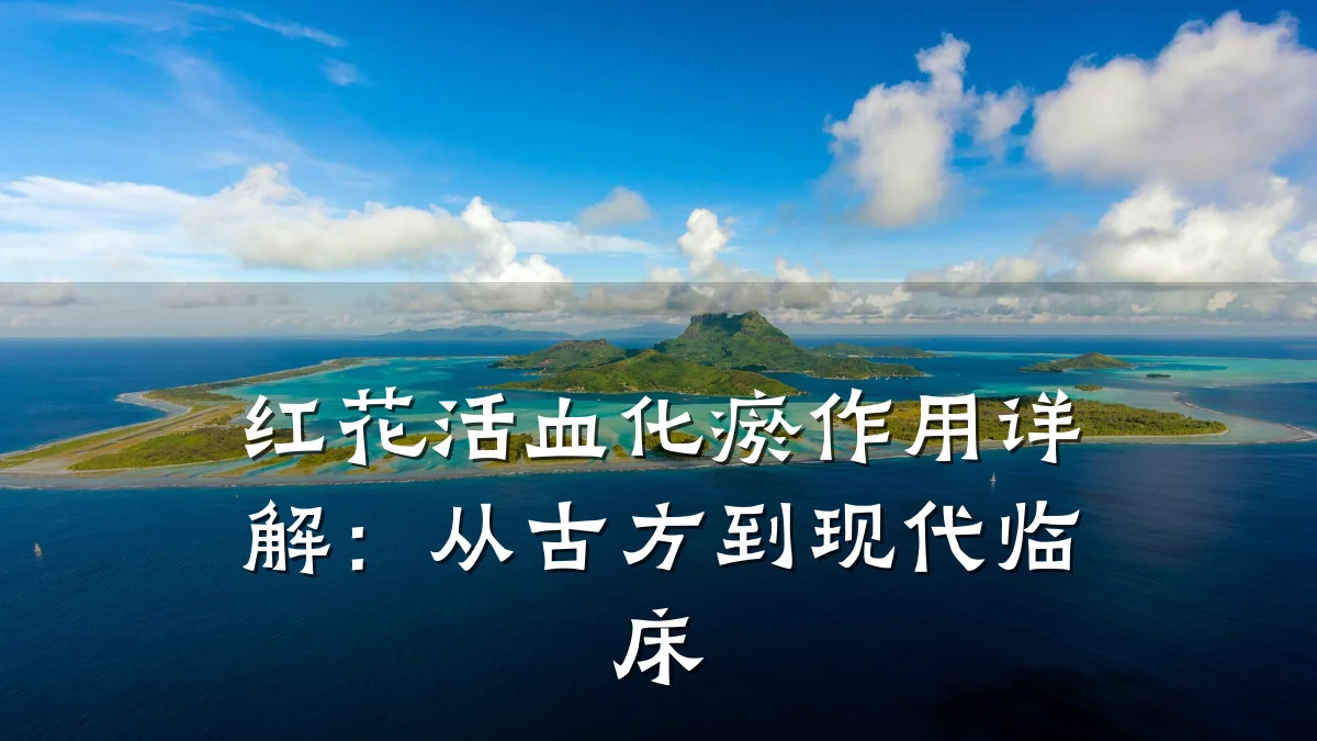 红花活血化瘀作用详解：从古方到现代临床