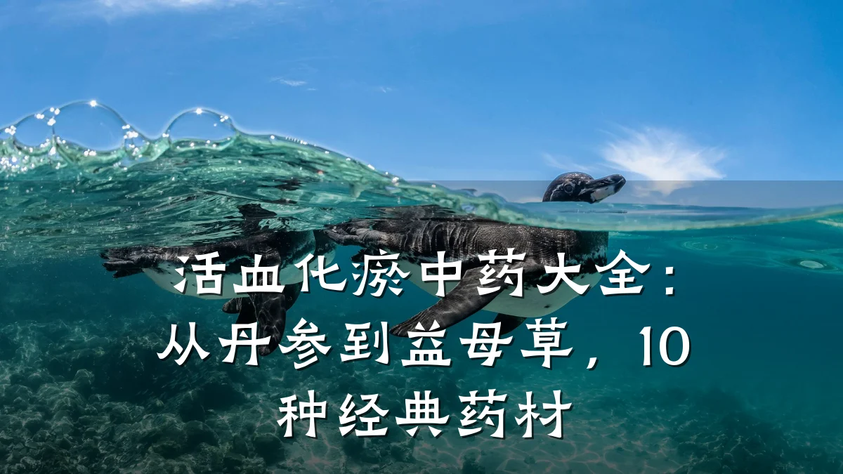 活血化瘀中药大全：从丹参到益母草，10种经典药材