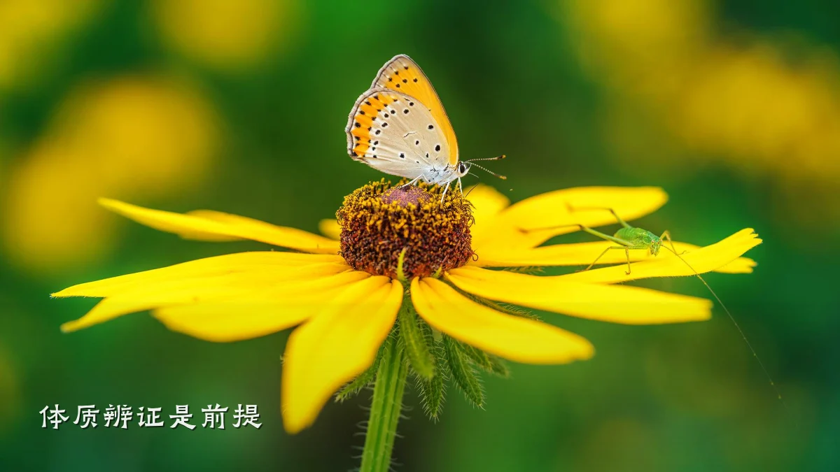 体质辨证是前提