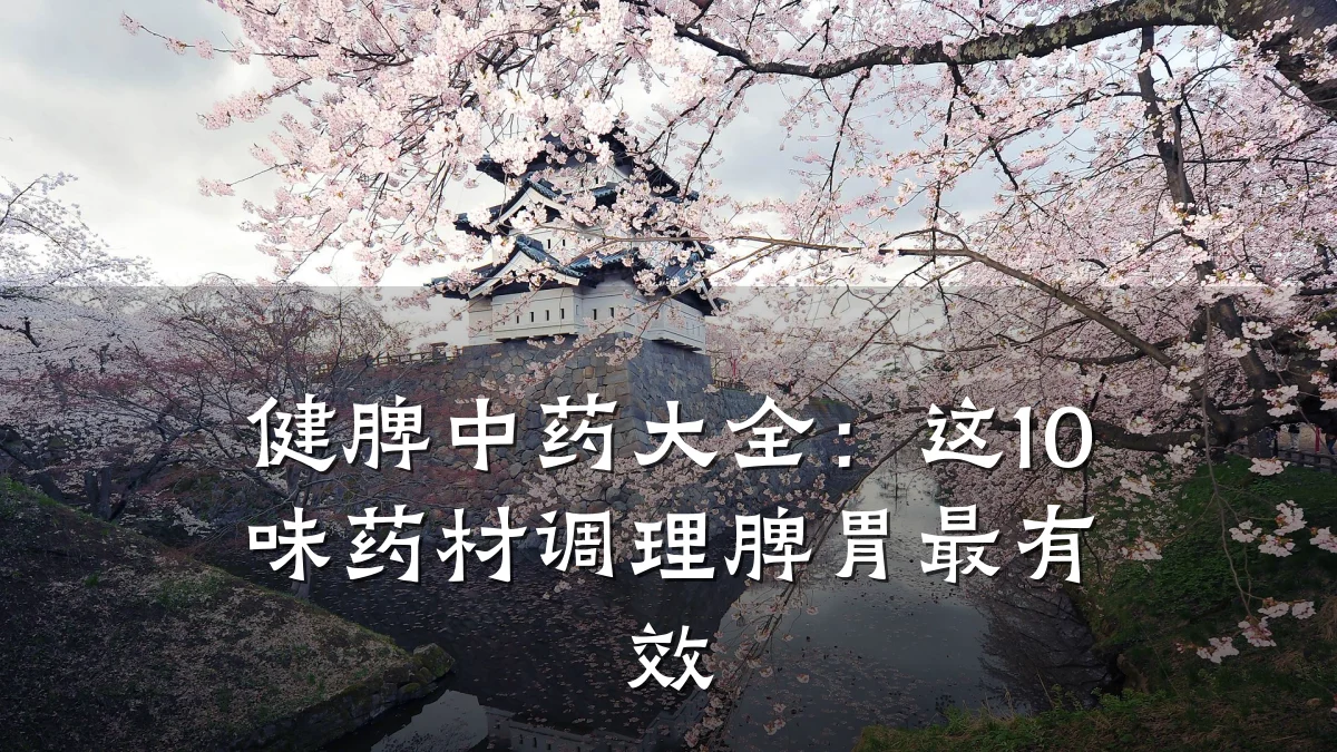 健脾中药大全：这10味药材调理脾胃最有效