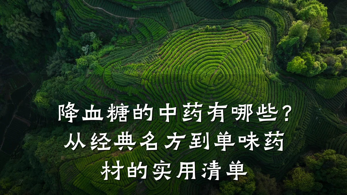 降血糖的中药有哪些?从经典名方到单味药材的实用清单