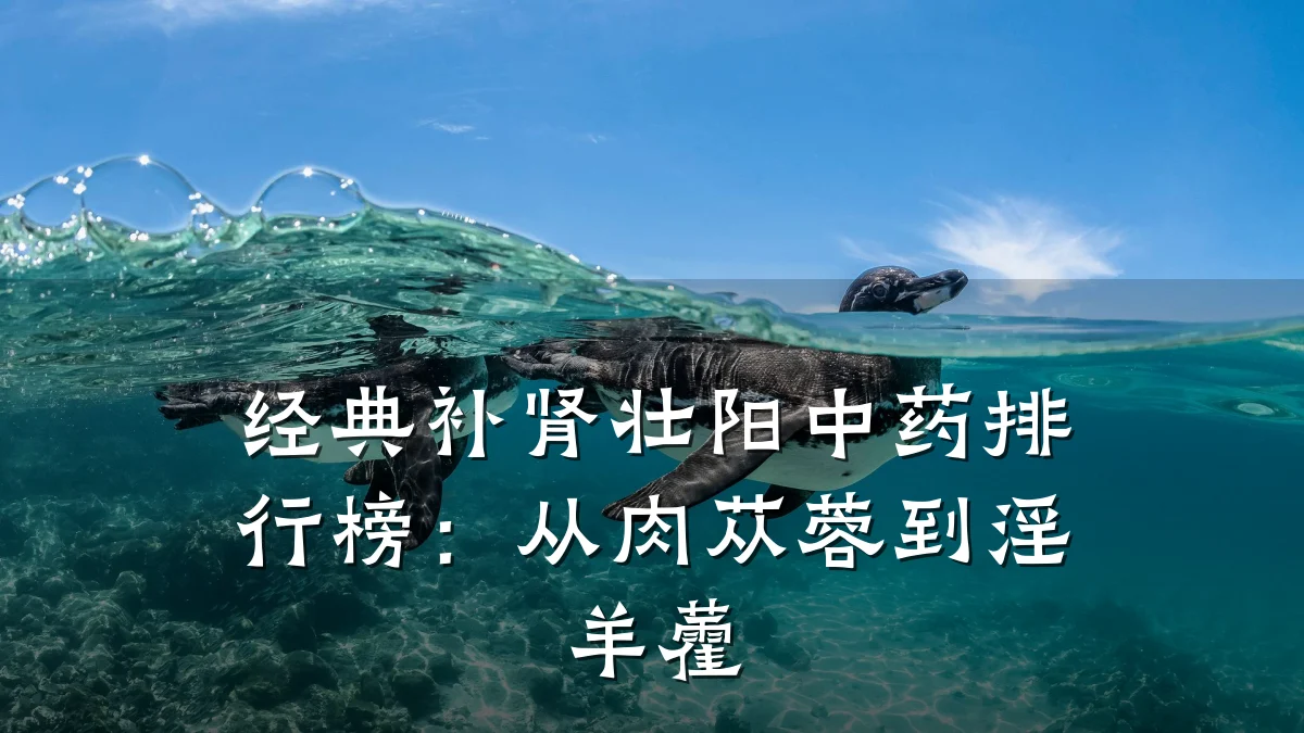 经典补肾壮阳中药排行榜:从肉苁蓉到淫羊藿