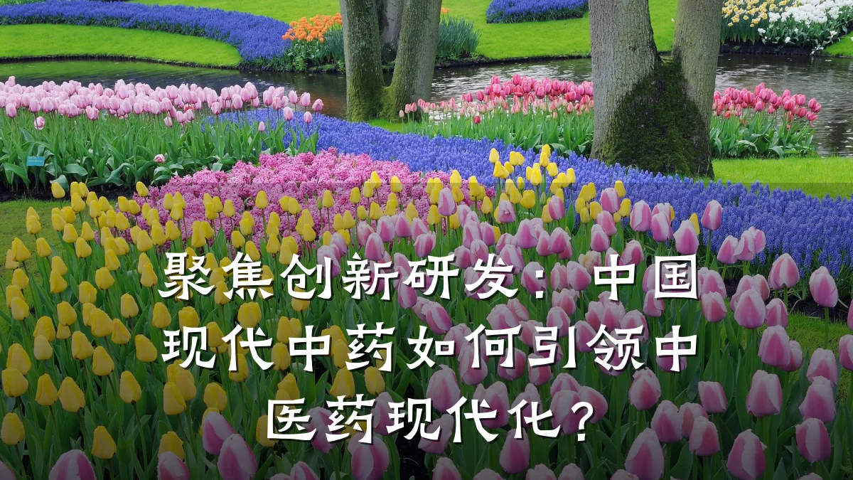 聚焦创新研发:中国现代中药如何引领中医药现代化?