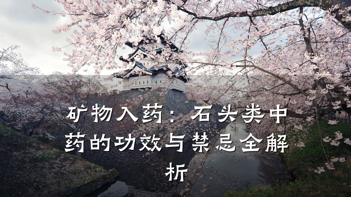 矿物入药：石头类中药的功效与禁忌全解析
