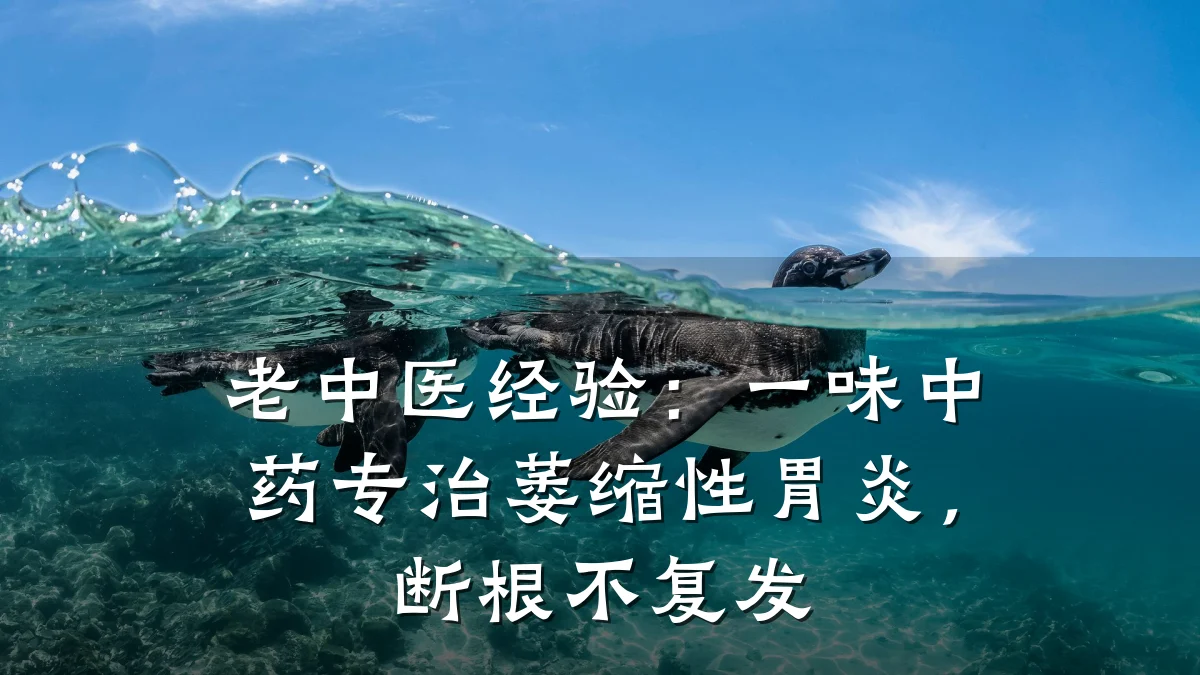 老中医经验：一味中药专治萎缩性胃炎，断根不复发