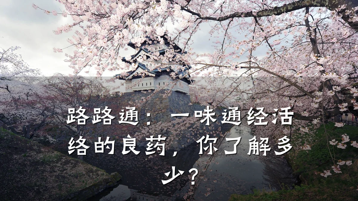 路路通:一味通经活络的良药,你了解多少?