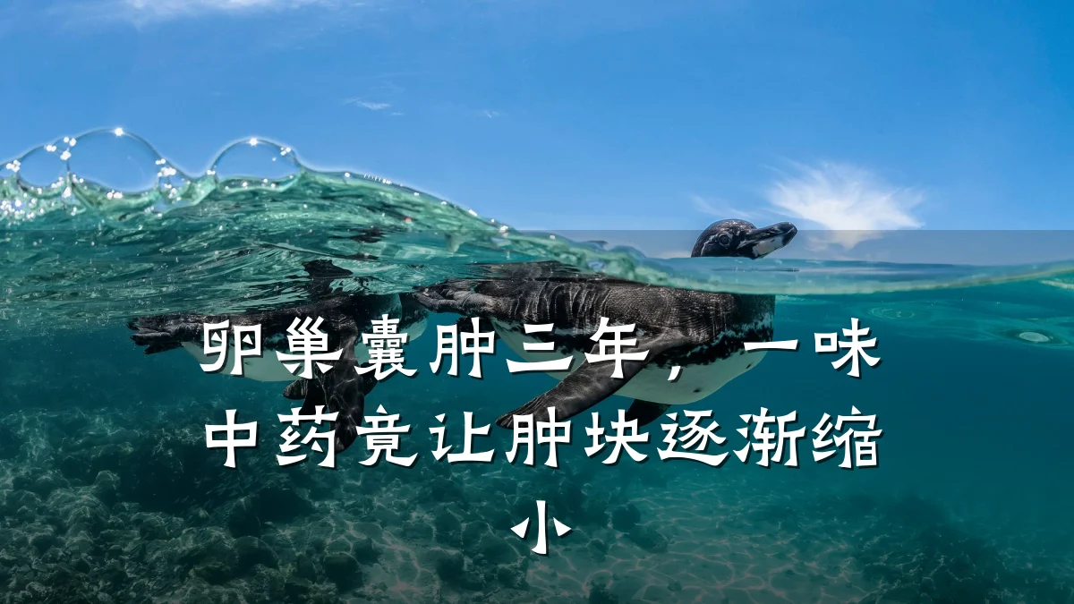卵巢囊肿三年,一味中药竟让肿块逐渐缩小