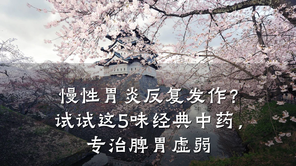 慢性胃炎反复发作?试试这5味经典中药,专治脾胃虚弱