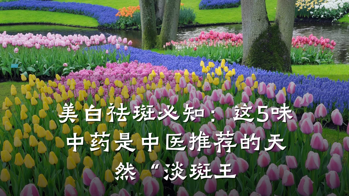 美白祛斑必知：这5味中药是中医推荐的天然“淡斑王