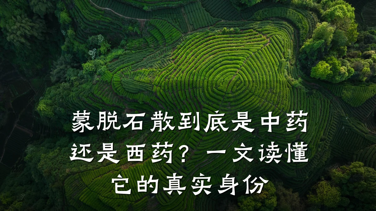 蒙脱石散到底是中药还是西药?一文读懂它的真实身份