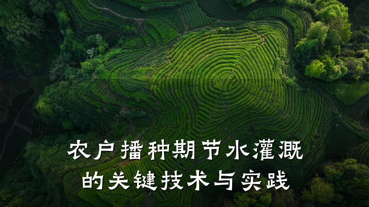 农户播种期节水灌溉的关键技术与实践