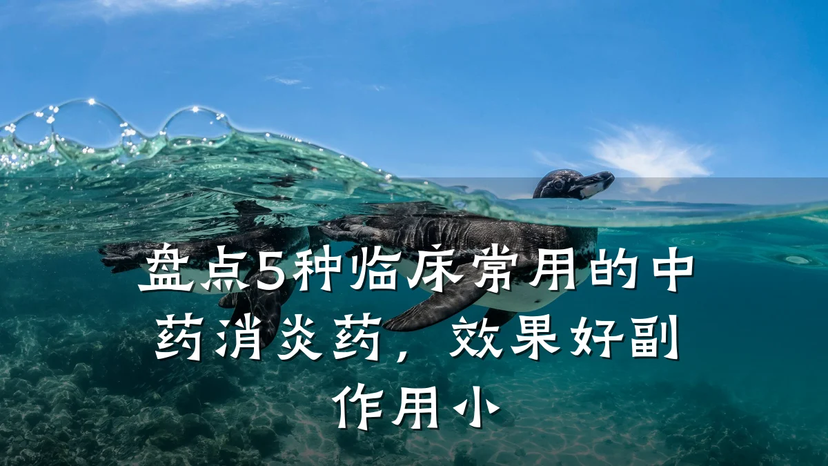盘点5种临床常用的中药消炎药,效果好副作用小