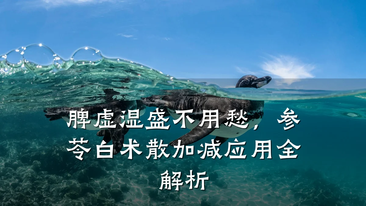 脾虚湿盛不用愁,参苓白术散加减应用全解析