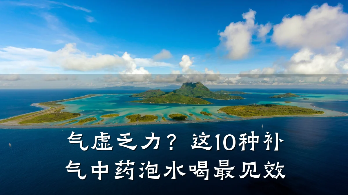 气虚乏力？这10种补气中药泡水喝最见效