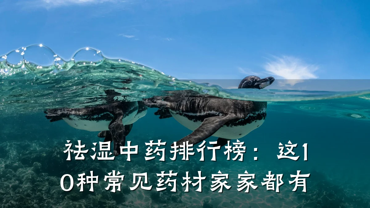祛湿中药排行榜：这10种常见药材家家都有