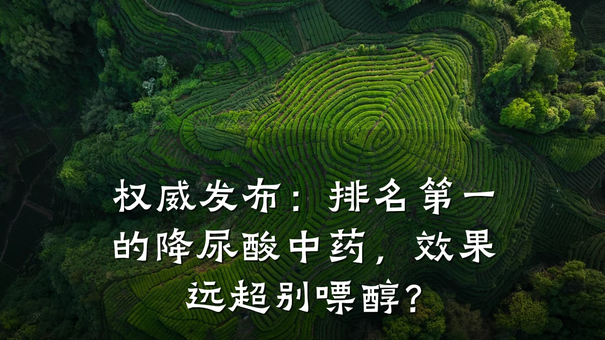 权威发布:排名第一的降尿酸中药,效果远超别嘌醇?