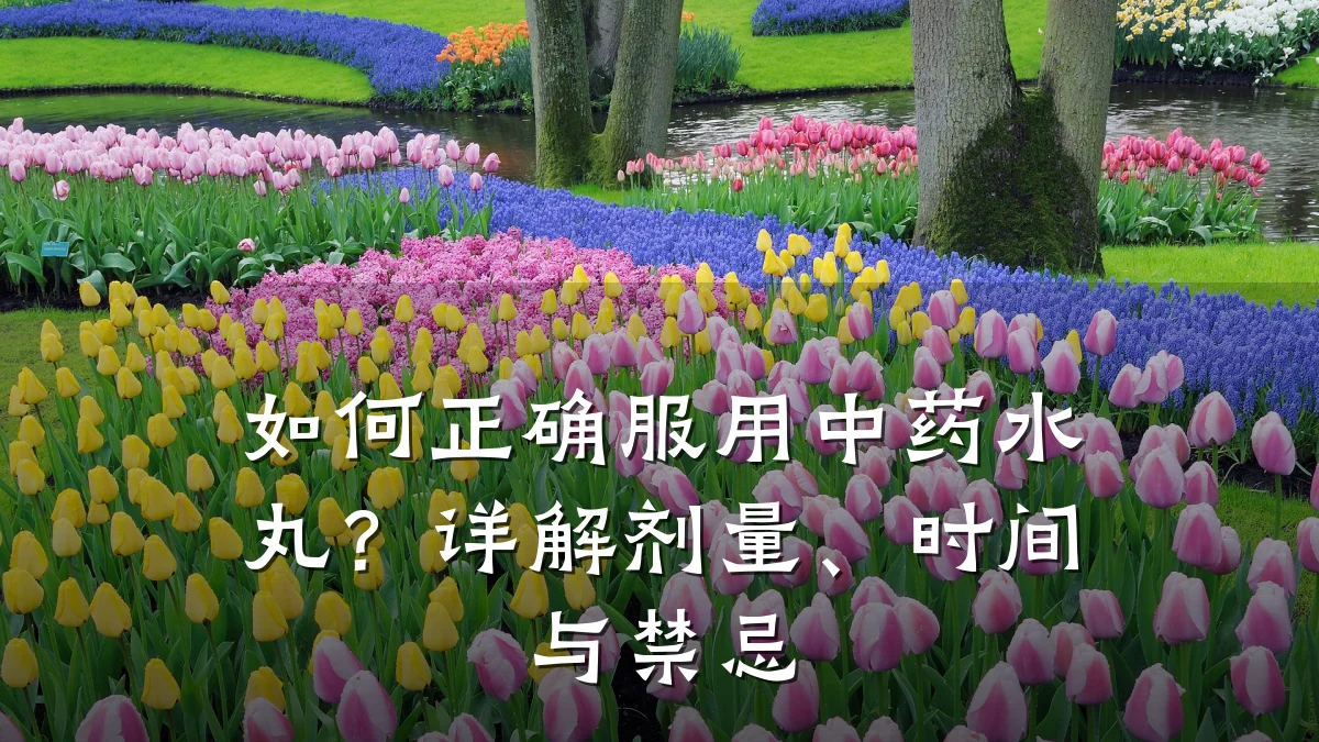 如何正确服用中药水丸?详解剂量、时间与禁忌