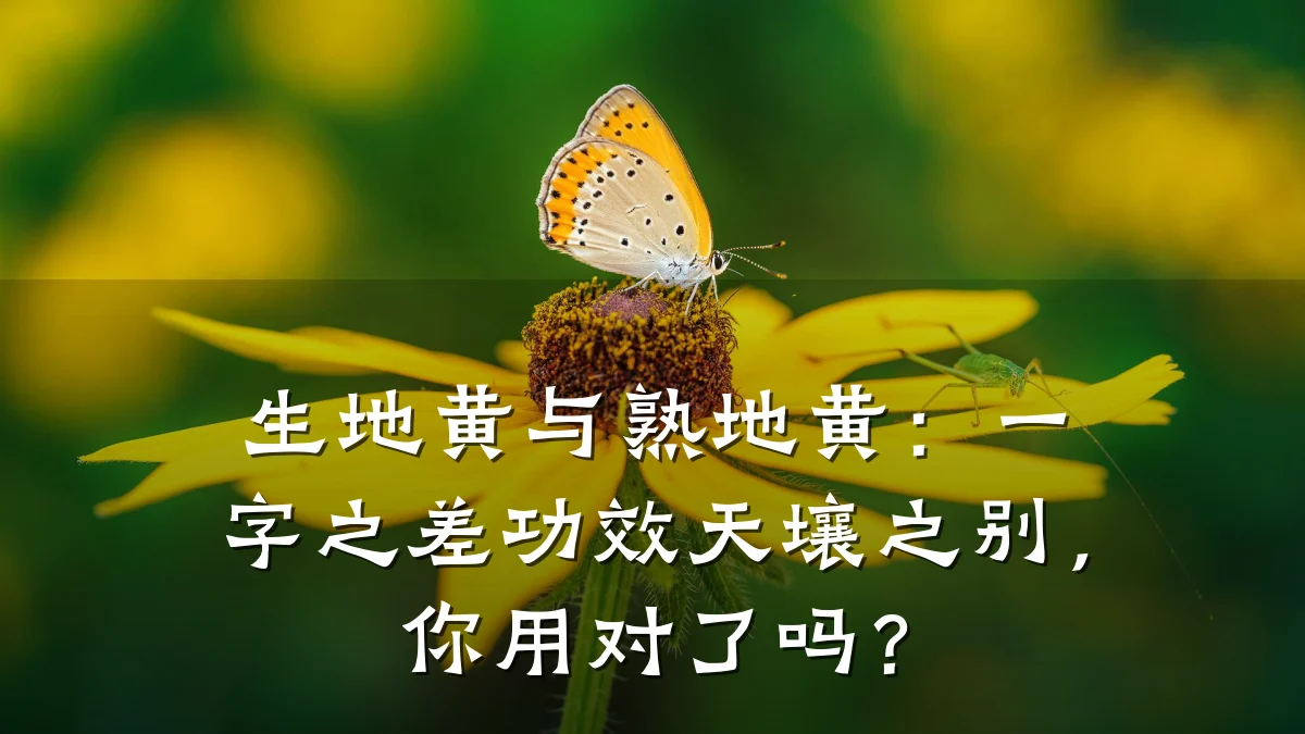 生地黄与熟地黄：一字之差功效天壤之别，你用对了吗？
