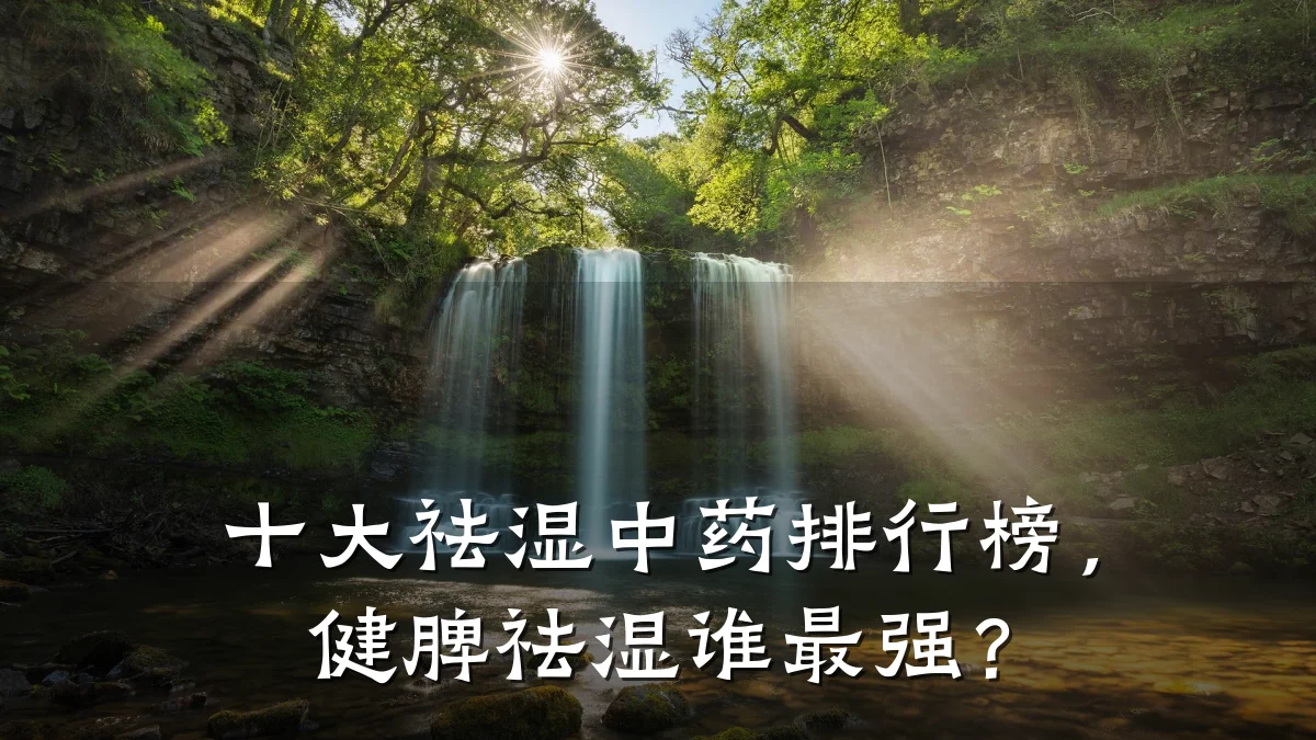 十大祛湿中药排行榜,健脾祛湿谁最强?