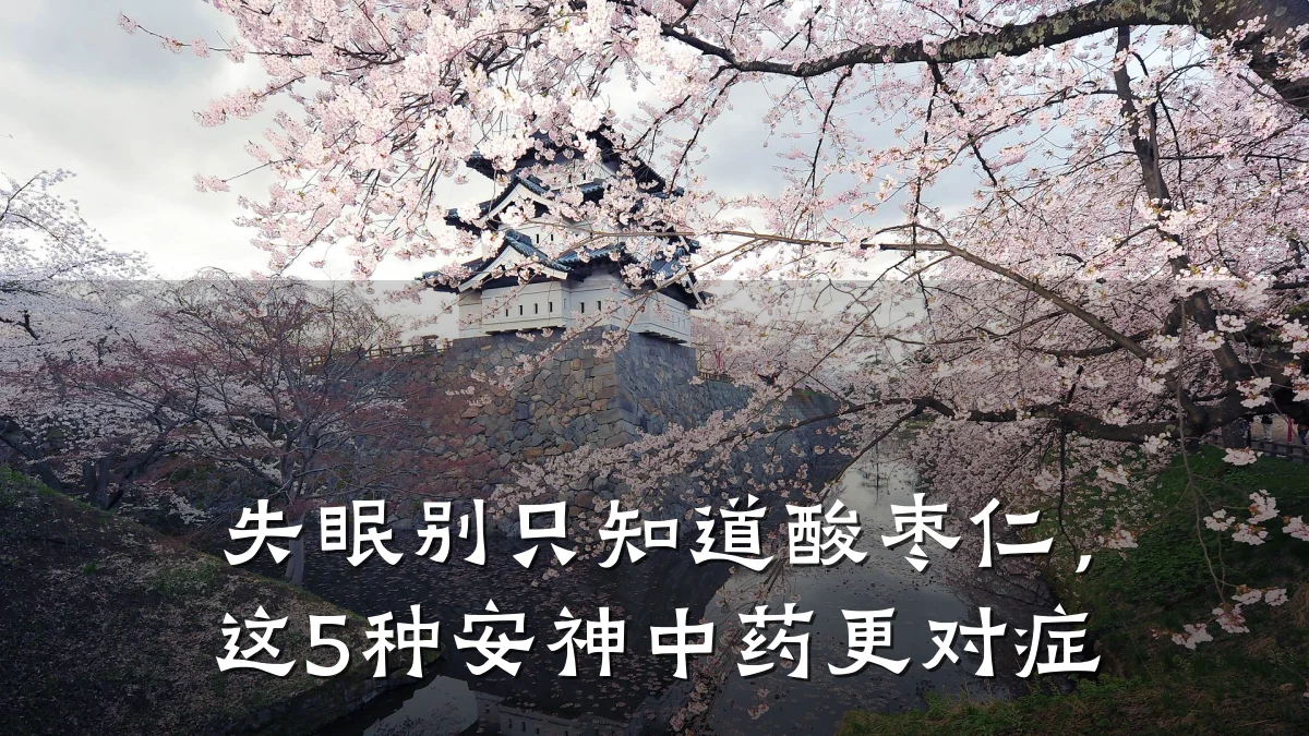 失眠别只知道酸枣仁,这5种安神中药更对症