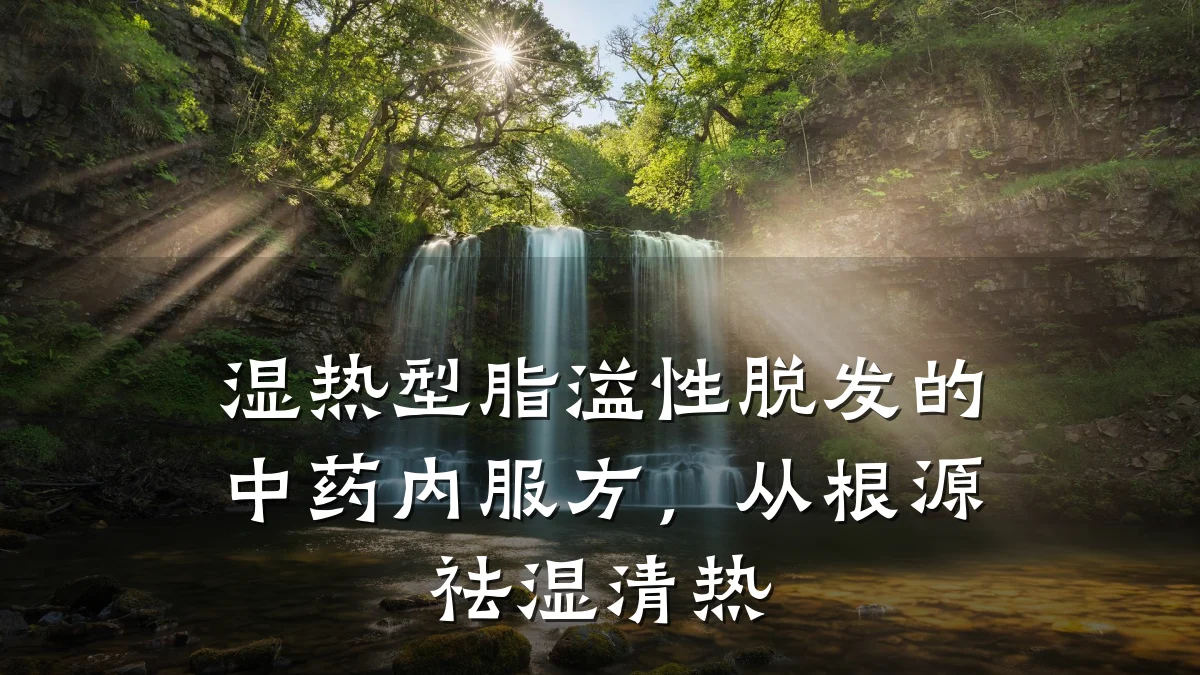 湿热型脂溢性脱发的中药内服方,从根源祛湿清热