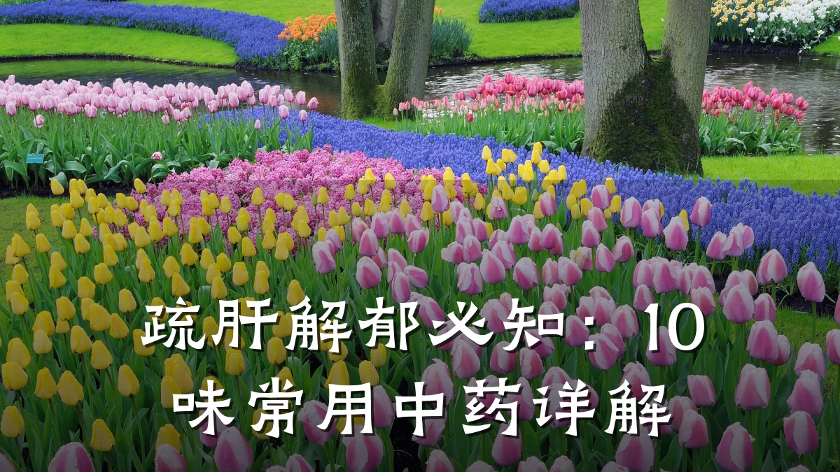 疏肝解郁必知:10味常用中药详解